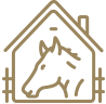 services-icon-1